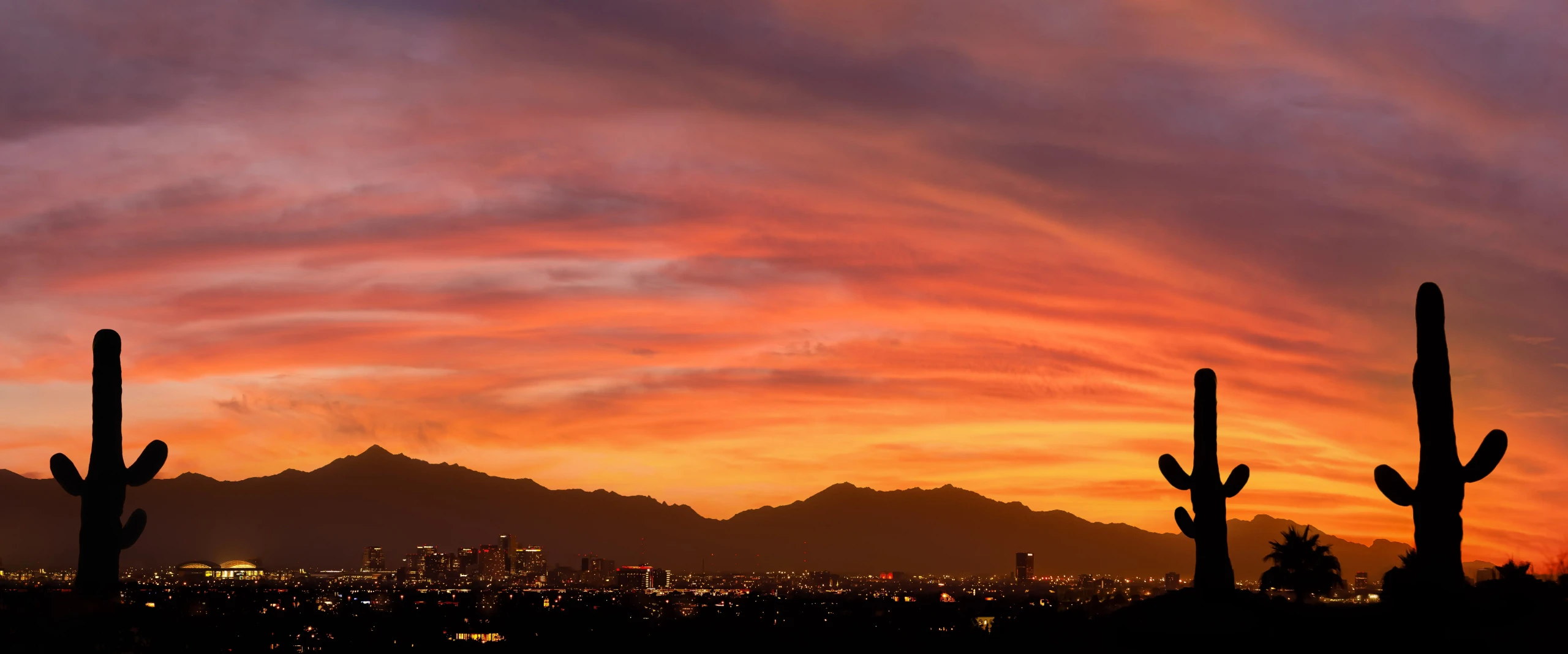 Sunset over Phoenix skyline with cacti silhouettes in the foreground